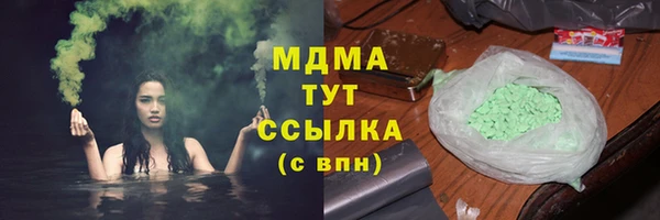 молекула духа Пересвет