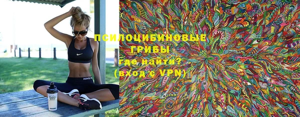 молекула духа Пересвет