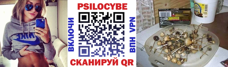 мориарти телеграм  Мегион  Псилоцибиновые грибы Magic Shrooms 