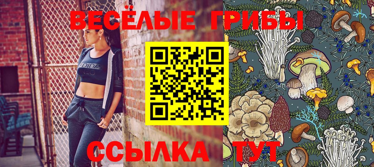 Галлюциногенные грибы GOLDEN TEACHER Мегион