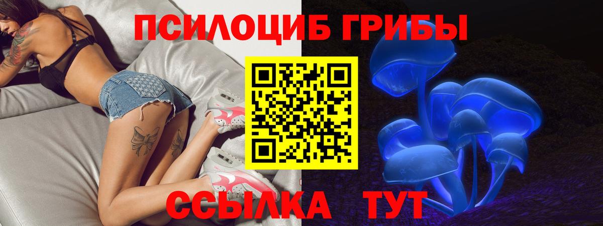 Галлюциногенные грибы Cubensis Мегион