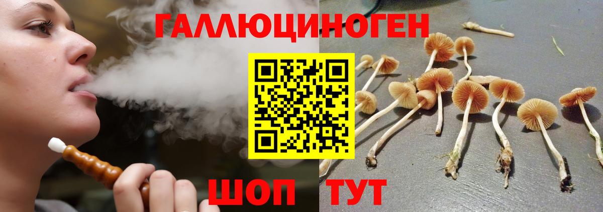 цены наркотик  Вход с VPN  Мегион  Псилоцибиновые грибы MAGIC MUSHROOMS 